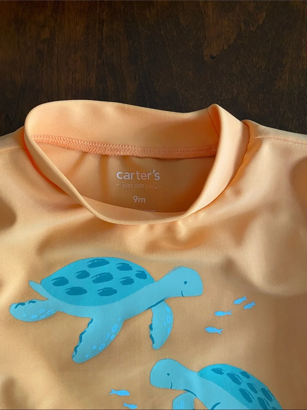 Carter’s 9M Orange & Blue Turtle Rash Guard Swim Shorts Set